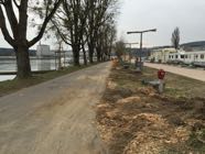 Baumfaellungen22-03-2016-012.jpeg