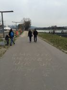 Baumfaellungen22-03-2016-014.jpeg
