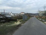 Baumfaellungen22-03-2016-02.jpeg
