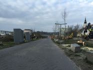 Baumfaellungen22-03-2016-04.jpeg
