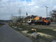 Baumfaellungen22-03-2016-05.jpeg