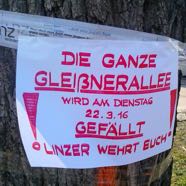 Faellungen GleissnerAllee 22032016 &copy;Erika Lipnik 3jpg.jpg