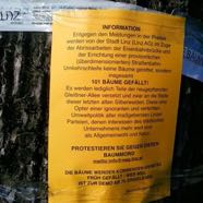 Faellungen GleissnerAllee 22032016 &copy;Erika Lipnik.jpg
