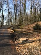 freinberg24-01-20181.jpg