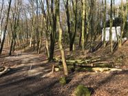 freinberg24-01-20182.jpg