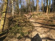 freinberg24-01-20185.jpg