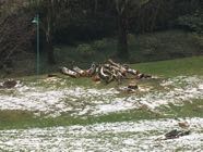 Bauernberg 03.jpg