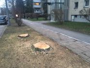 muldenstrasse01-2018l.jpg