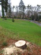 dsc00824.jpg
