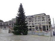 dsc00829.jpg