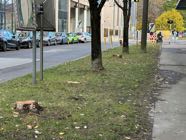 picture-2600-2.jpeg