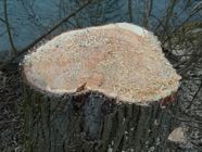 IMG_6844.jpeg
