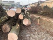 IMG_4250.jpeg