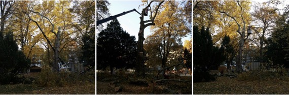 Screen Shot 2026-02-13 07 21 42 PM