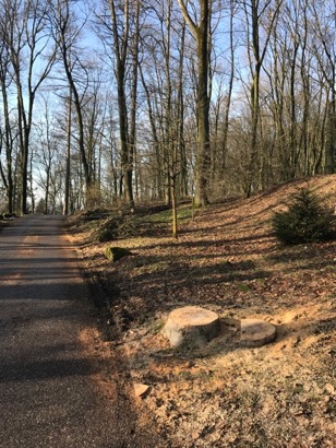 freinberg24-01-20181