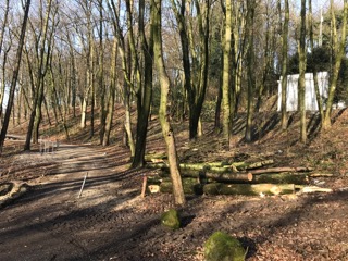 freinberg24-01-20182