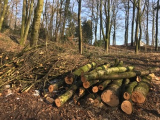 freinberg24-01-20183