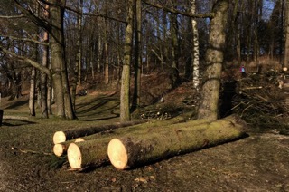 freinberg24-01-20184