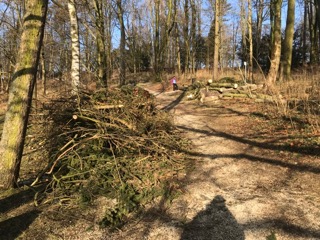 freinberg24-01-20185