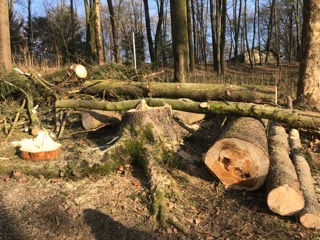 freinberg24-01-20186