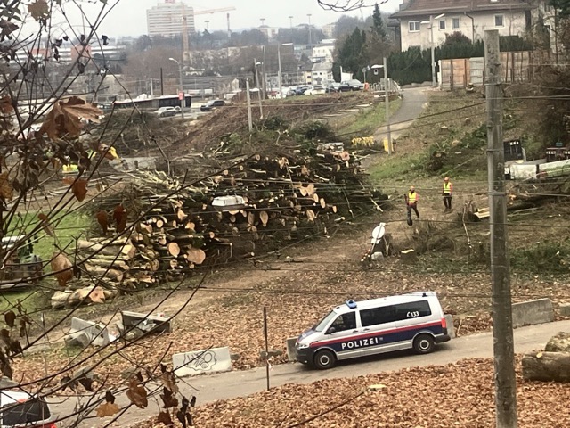 photo_5877265580820204742_y