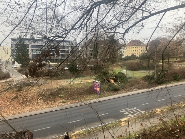 photo_5877265580820204745_y