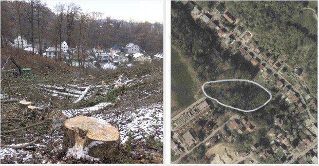 Screen Shot 2026-02-13 01 17 56 PM