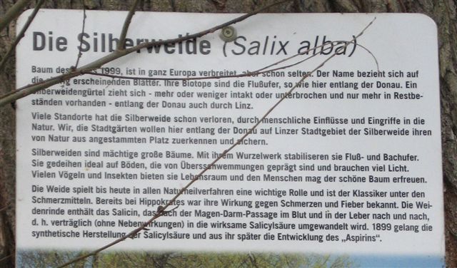 stadtgc3a4rten_tafel_ausschnitt