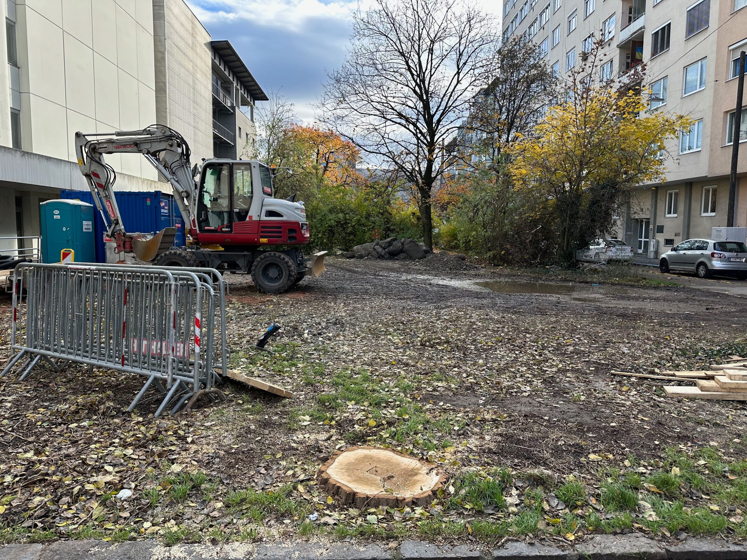 BAUMVERNICHTUNGSAKTION im Stadtgebiet