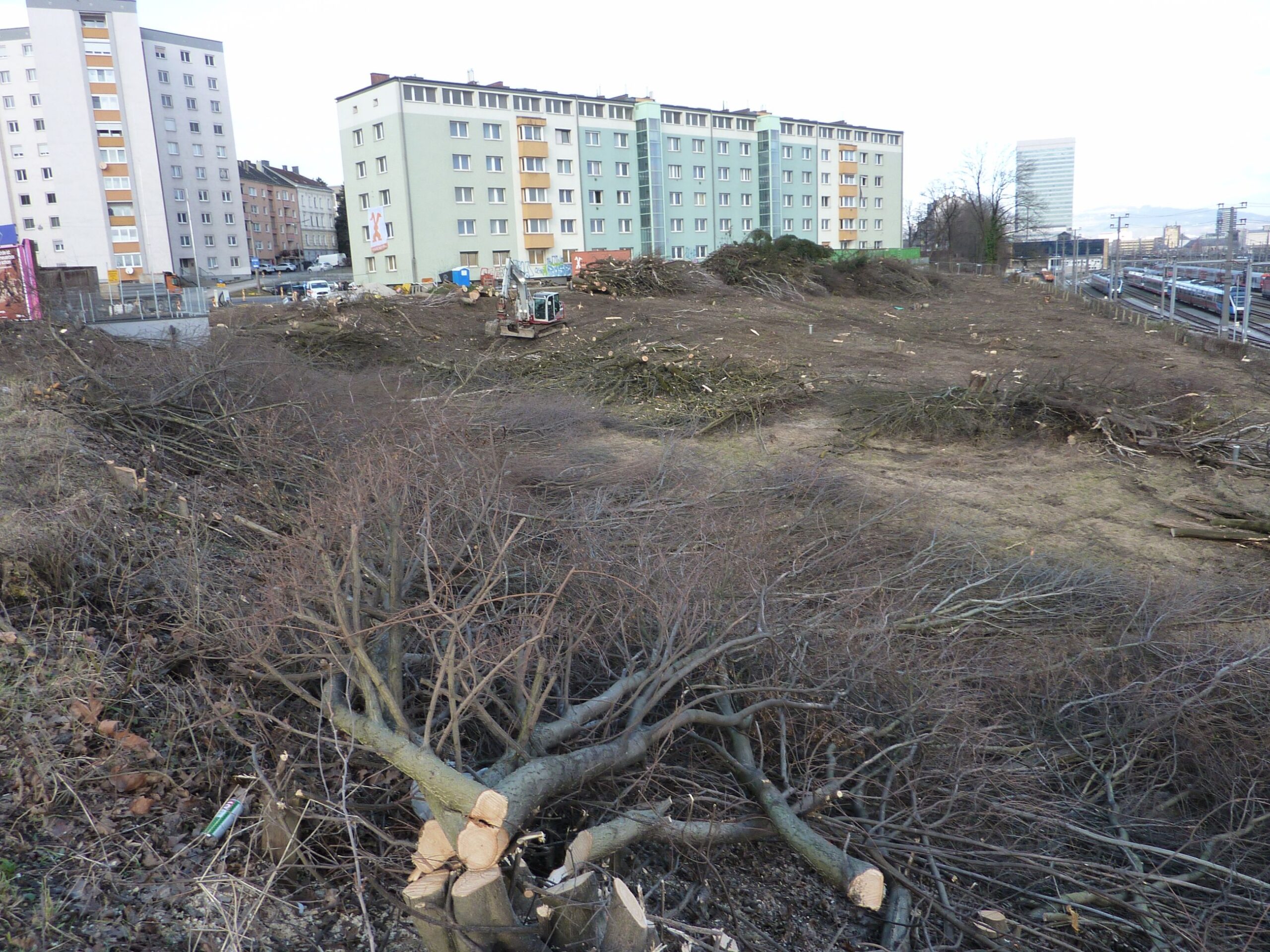 Großflächige Grünraumvernichtung in der Stadt!